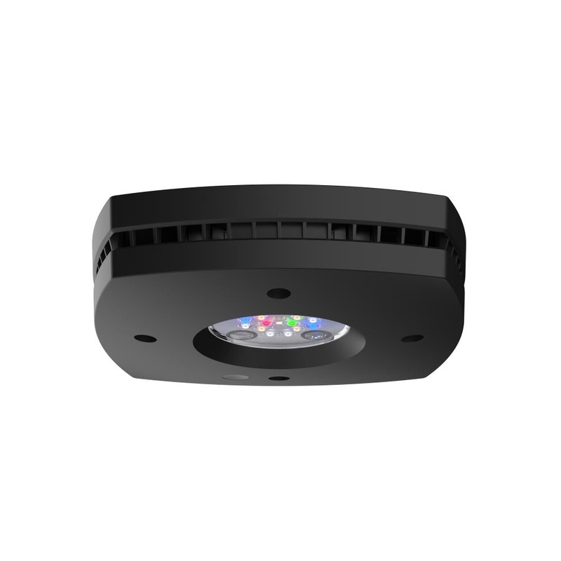 AI Prime 16HD Freshwater Schwarz