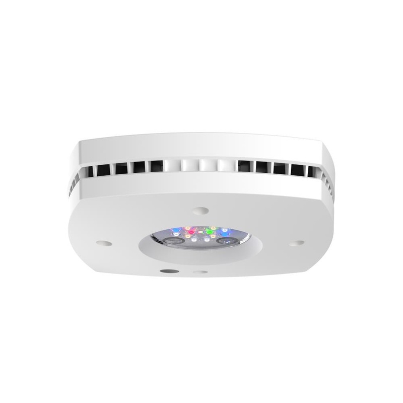 AI Prime 16HD Freshwater Wei