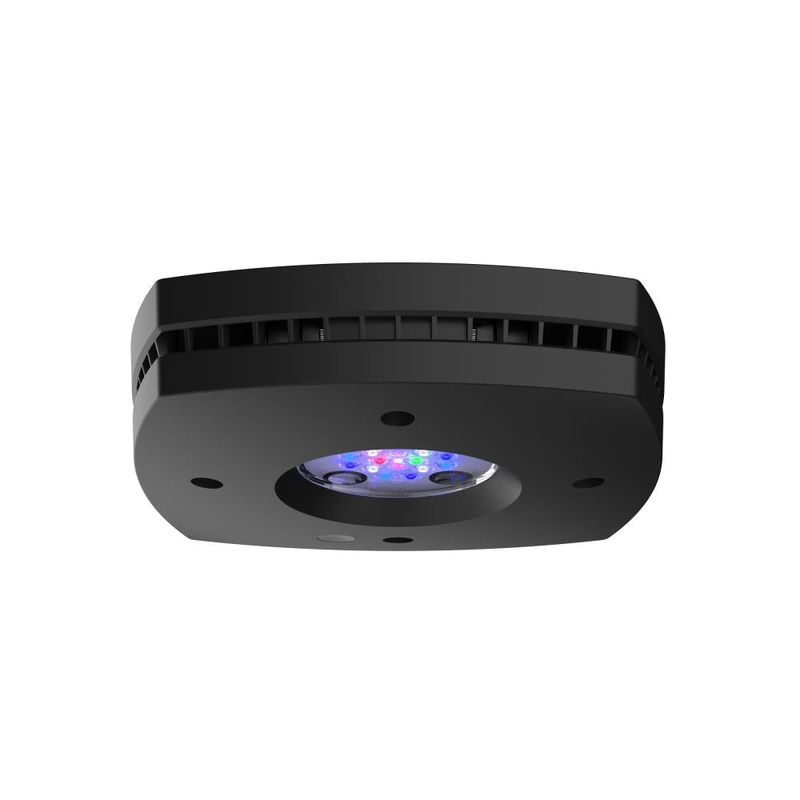 AI Prime 16HD Reef LED schwarz (55 W)