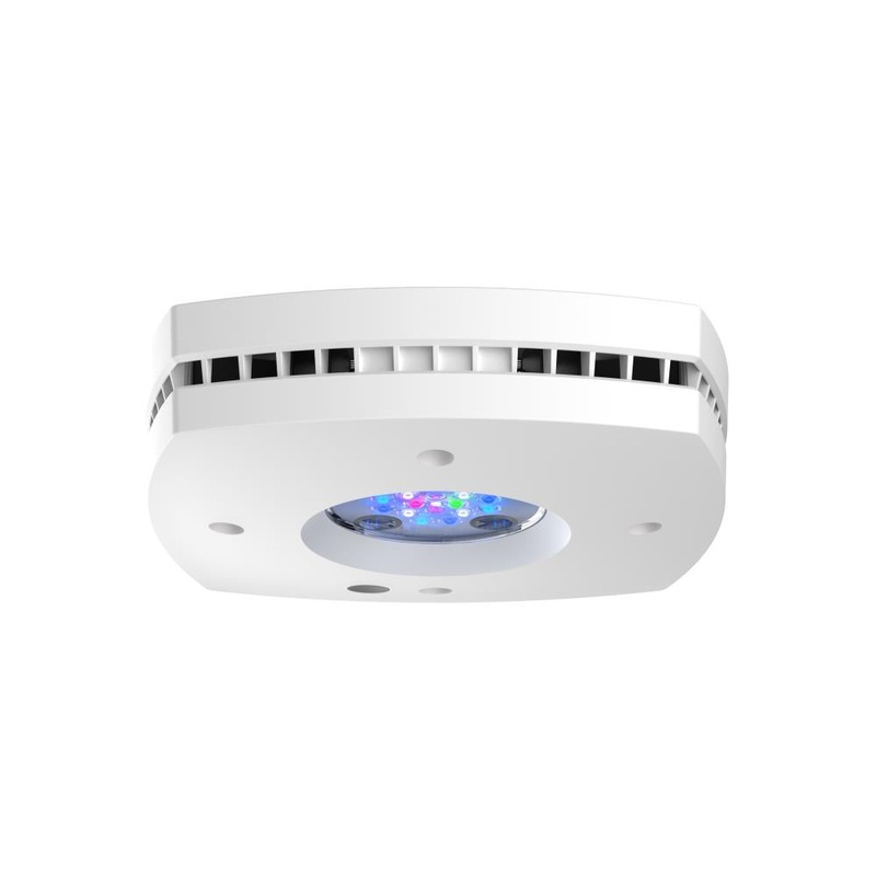 AI Prime 16HD Reef LED wei (55 W)