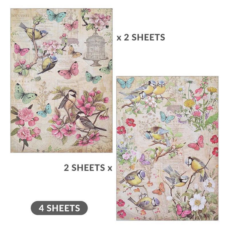 Decoupage Paper A4 Robin Garden/ Chirpy Robbins 4 Sheets Lb