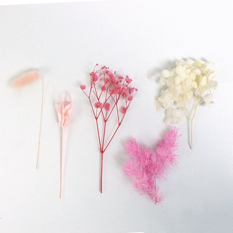 Assorted Natural Dried Flowers Rosy Blooms 1Box Ib
