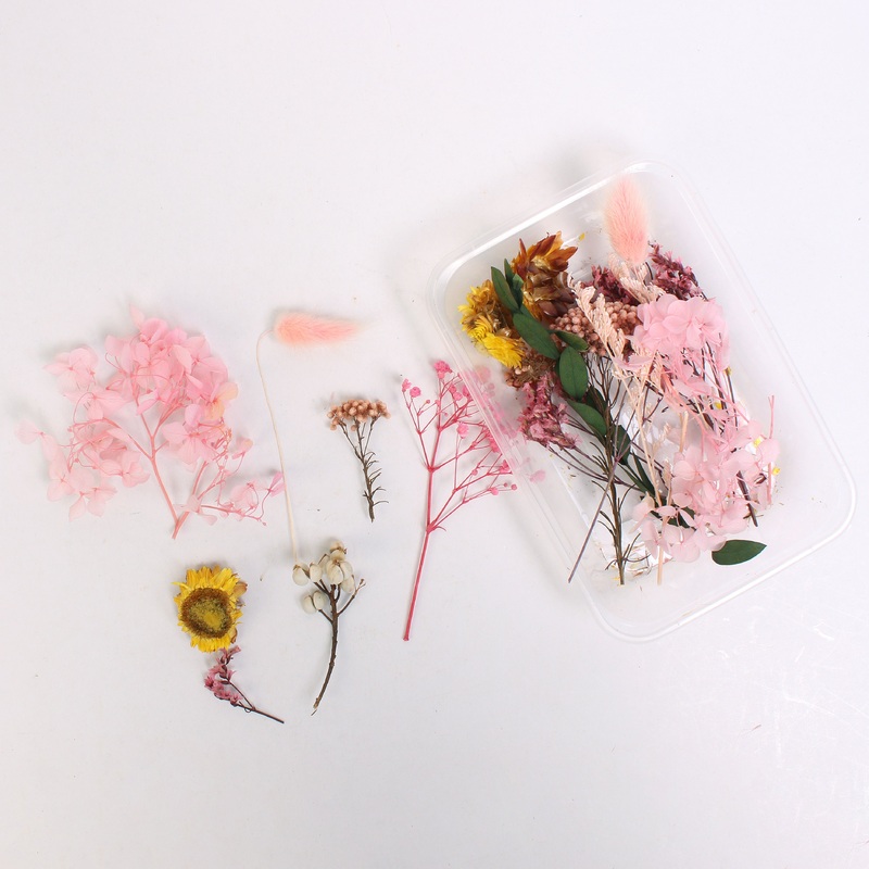 Assorted Natural Dried Flowers Rosy Glow Blossoms 1Box Ib