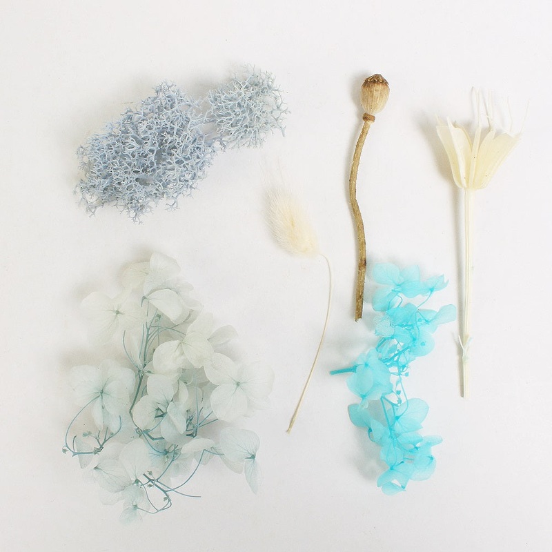Assorted Natural Dried Flowers Snow Sky 1Box Ib