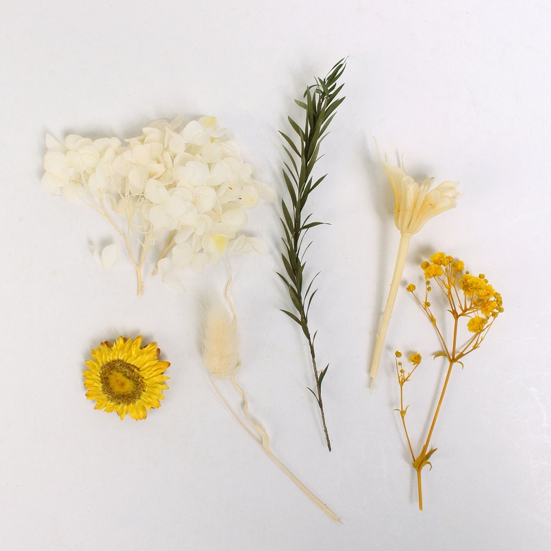 Assorted Natural Dried Flowers Sun And Snow 1Box Ib