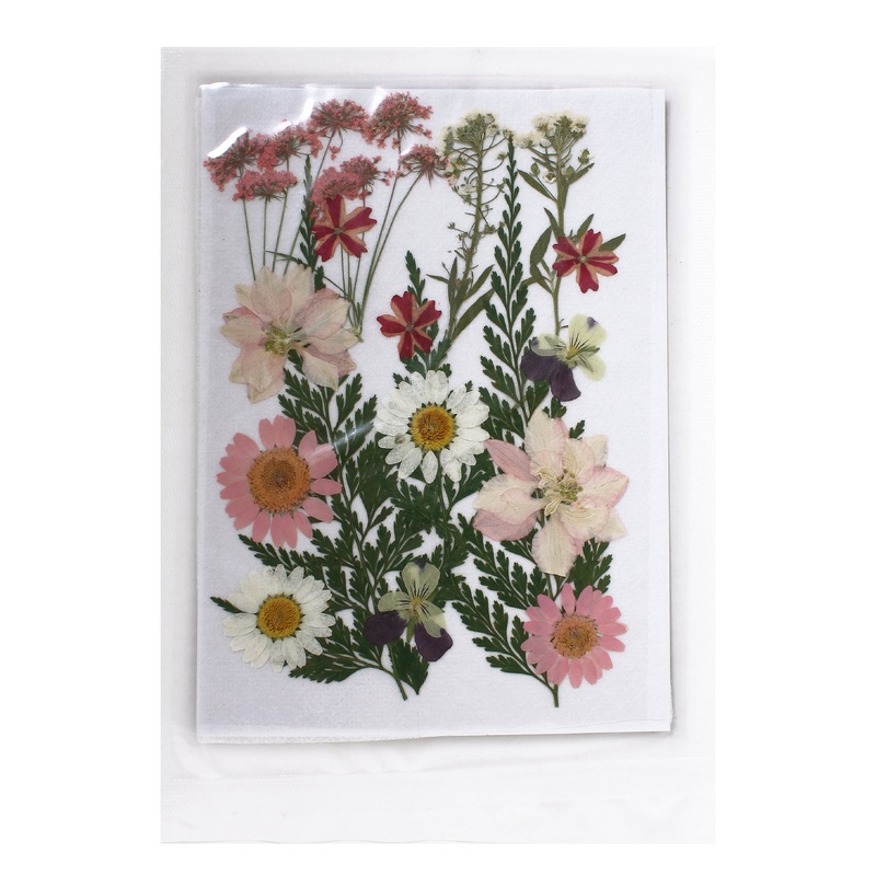 Assorted Natural Dried Pressed Flowers Meadow Blossoms 16Pc Pouch Ib