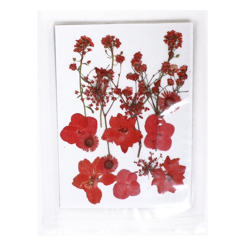 Assorted Natural Dried Pressed Flowers Ruby Flora 18Pc Pouch Ib