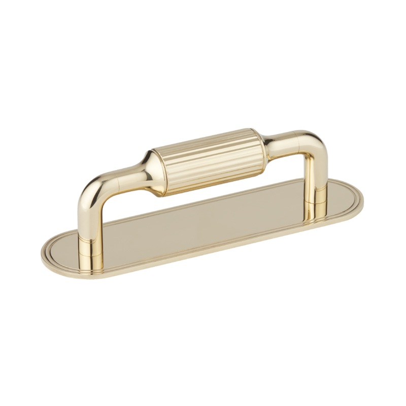 Armac Martin Barwick Ridged Cabinet Pull Handle With Backplate